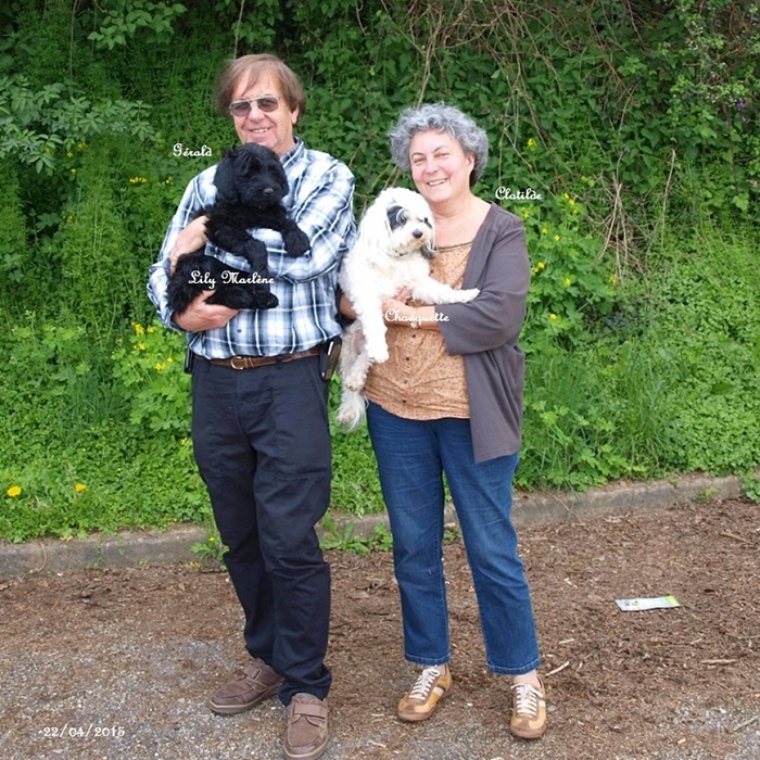 chiot chien d'eau portugais