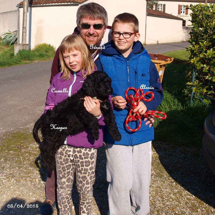 chien d'eau portugais