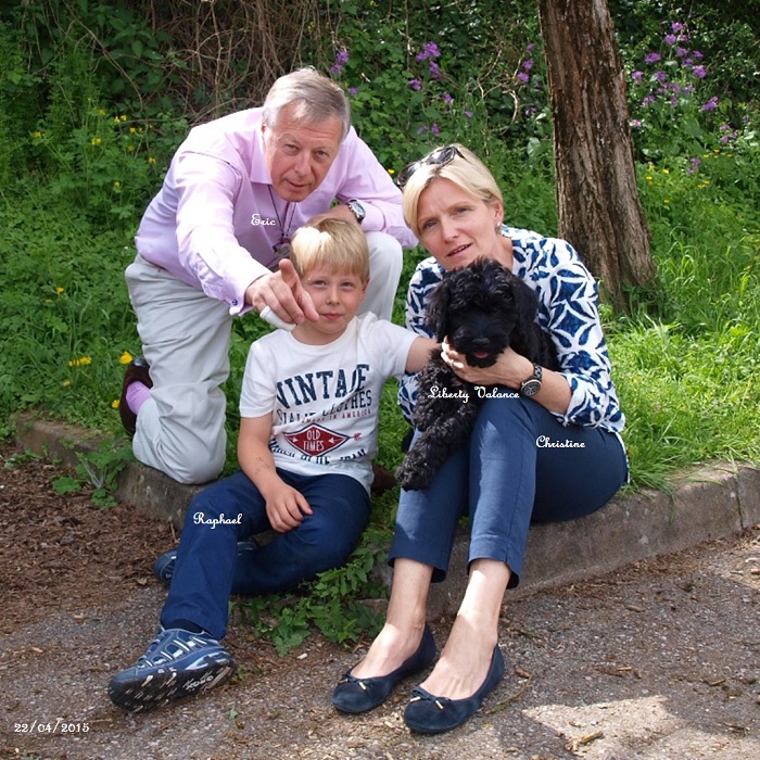 chiot chien d'eau portugais