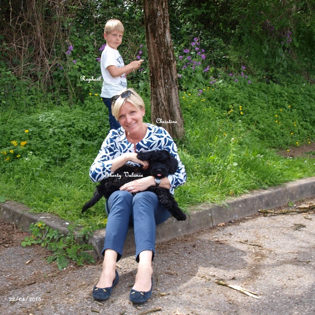 chien d'eau portugais