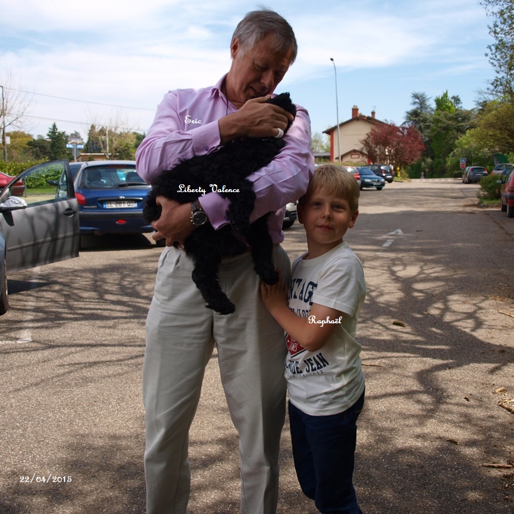 chien d'eau portugais