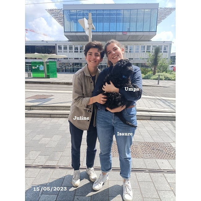 chiot chien d'eau portugais