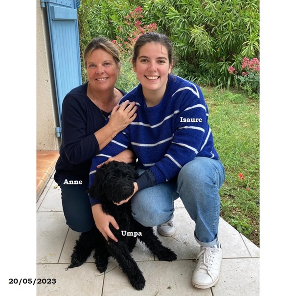 chiot chien d'eau portugais