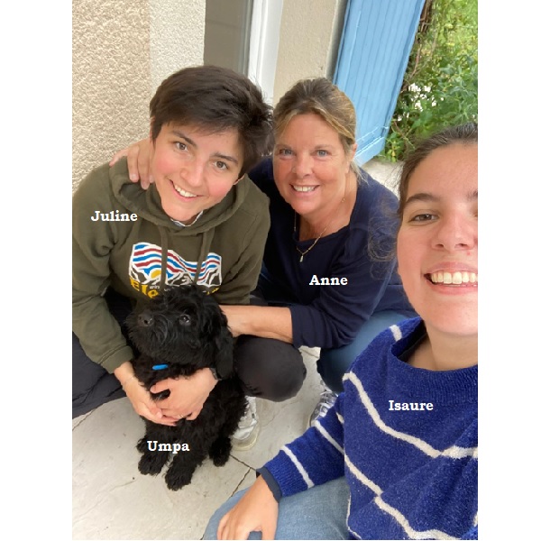 chiot chien d'eau portugais