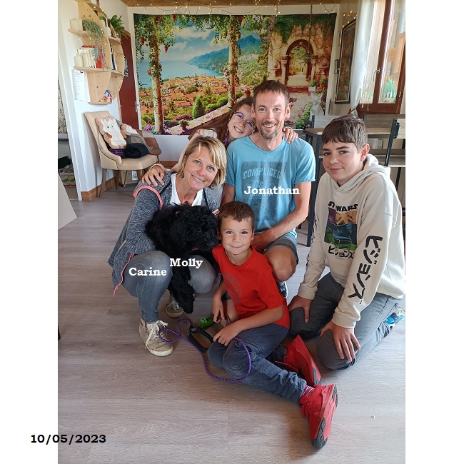 chiot chien d'eau portugais