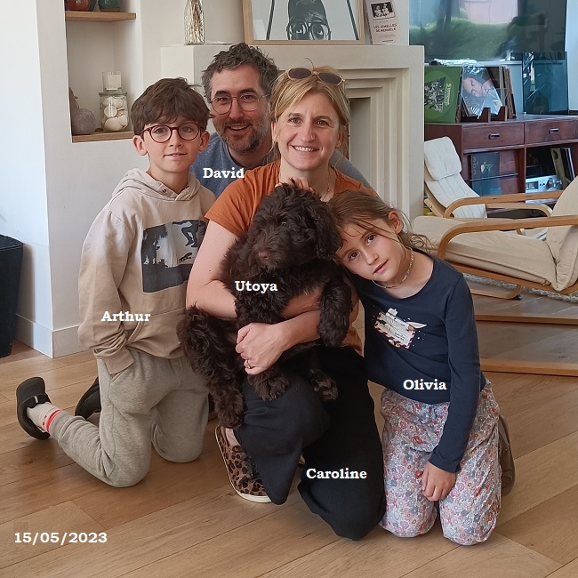 chiot chien d'eau portugais