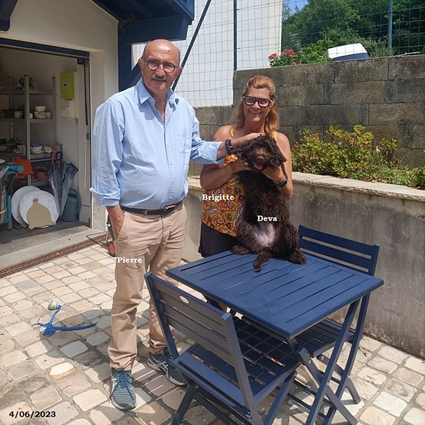 chiot chien d'eau portugais