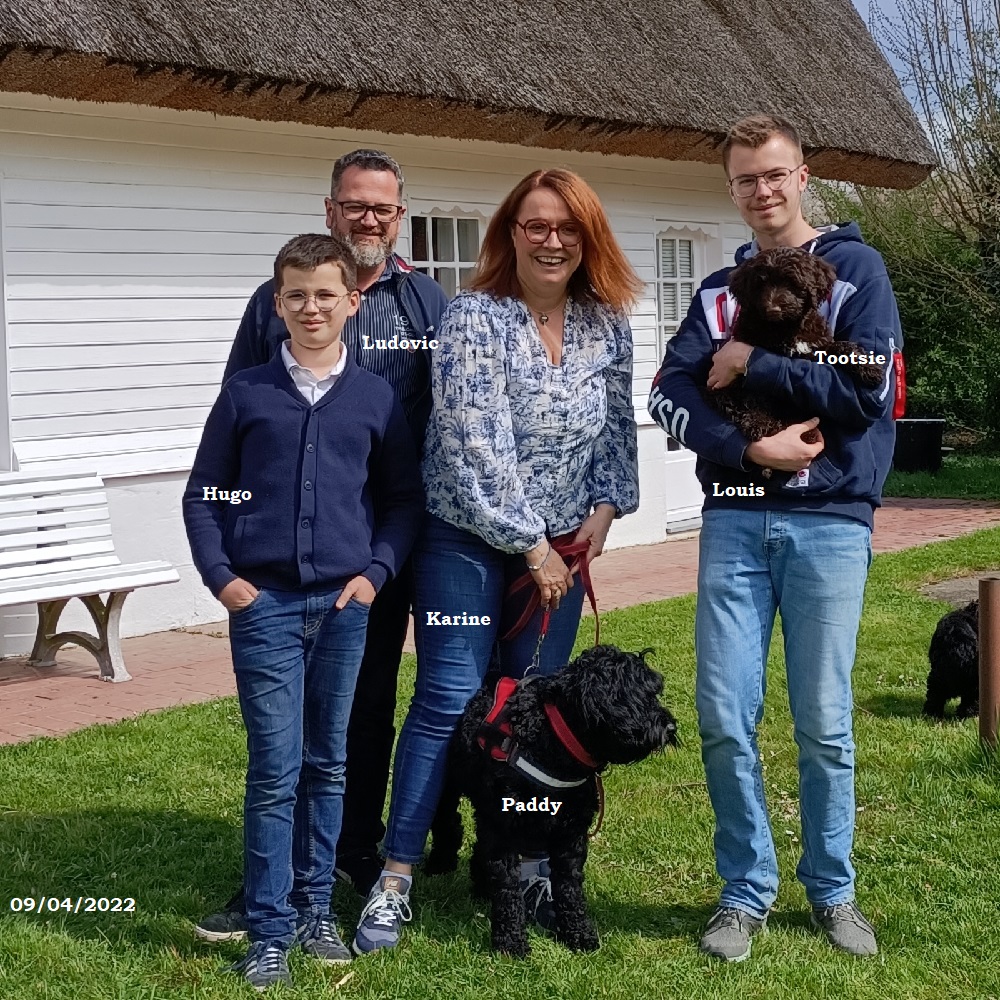 chiot chien d'eau portugais