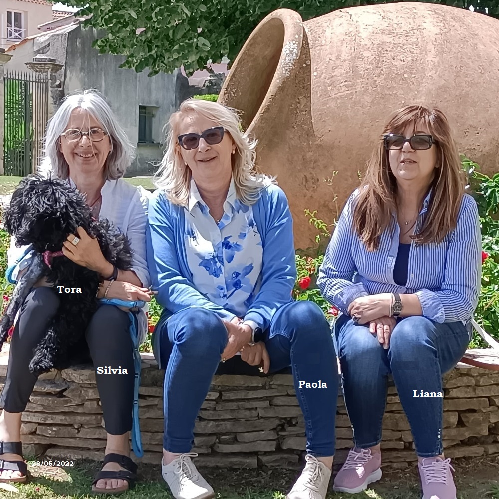 chiot chien d'eau portugais