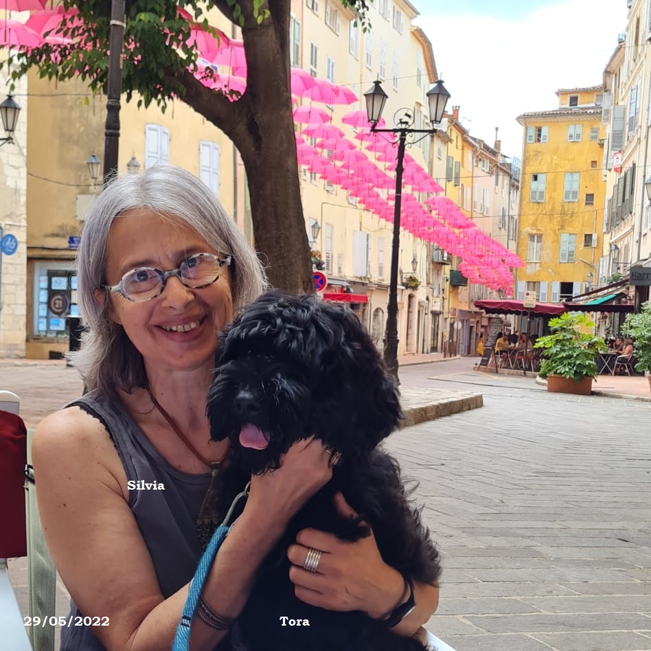 chiot chien d'eau portugais