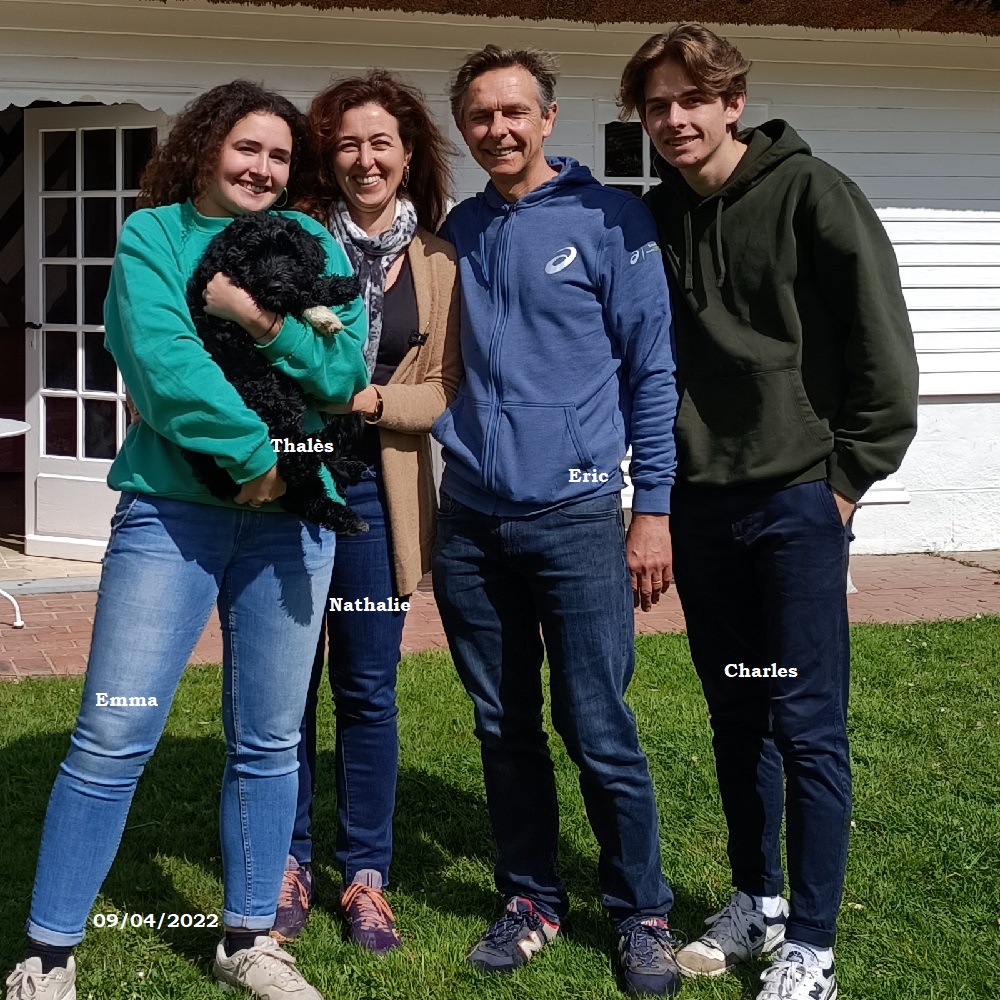 chiot chien d'eau portugais