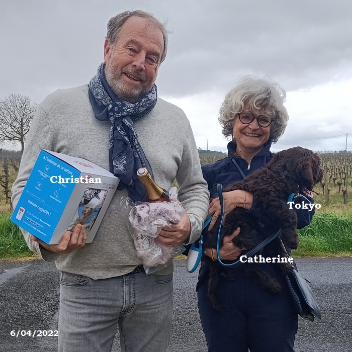 chiot chien d'eau portugais