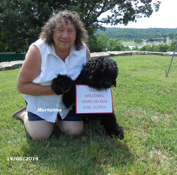 chiot chien d'eau portugais