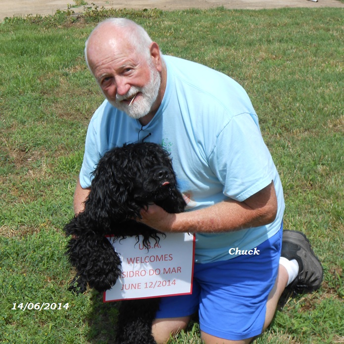 chiot chien d'eau portugais