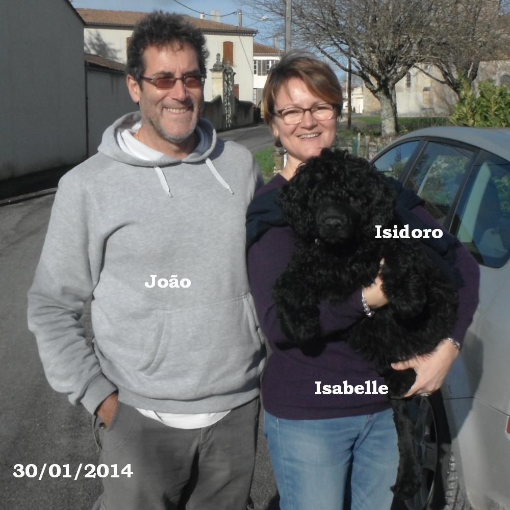 chiot chien d'eau portugais