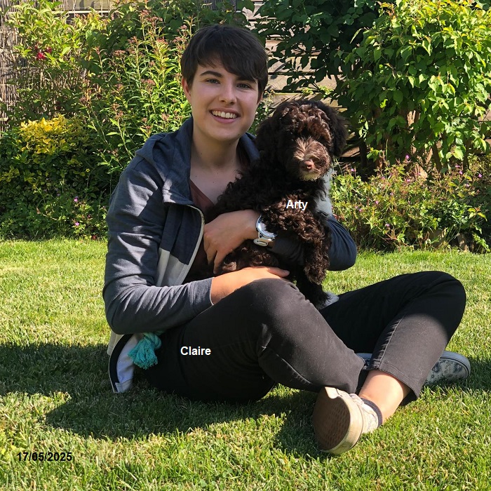 chiot chien d'eau portugais