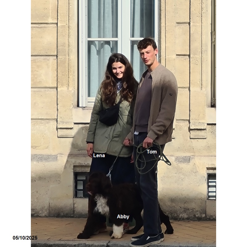 chiot chien d'eau portugais