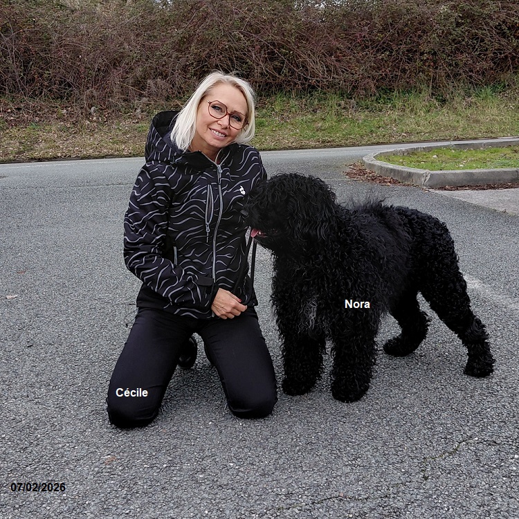 chiot chien d'eau portugais