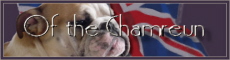 eleveurs, bulldog, anglais, pays-bas, netherlands, hollande, holland