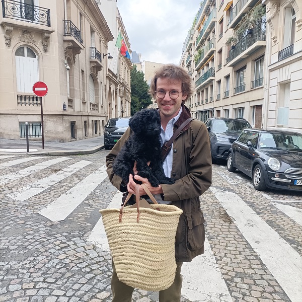 chiot chien d'eau portugais