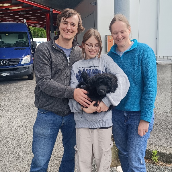 chiot chien d'eau portugais