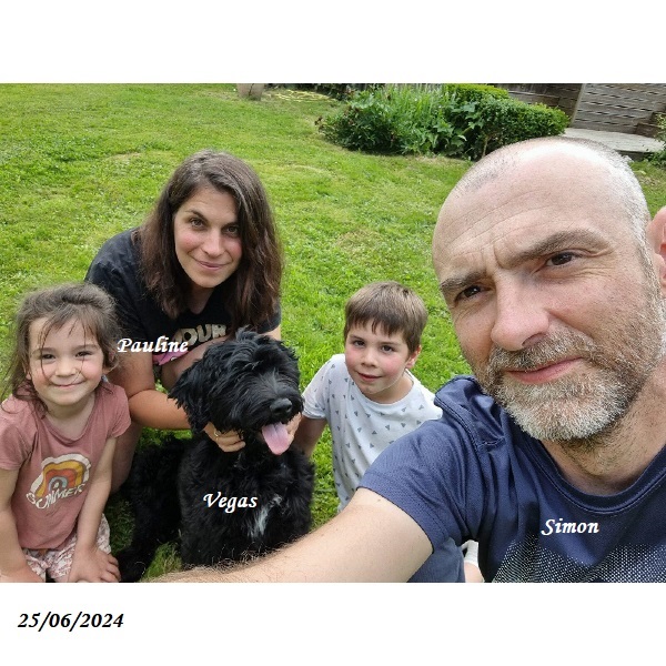 chiot chien d'eau portugais