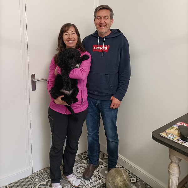 chiot chien d'eau portugais