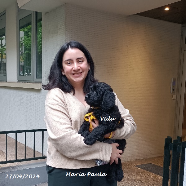 chiot chien d'eau portugais