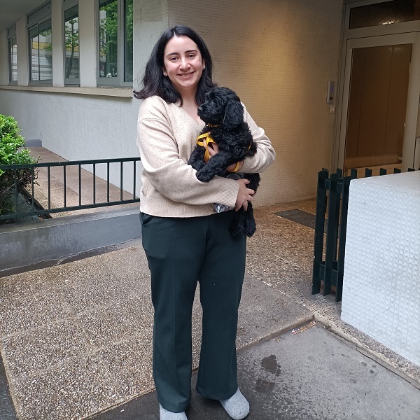 chiot chien d'eau portugais